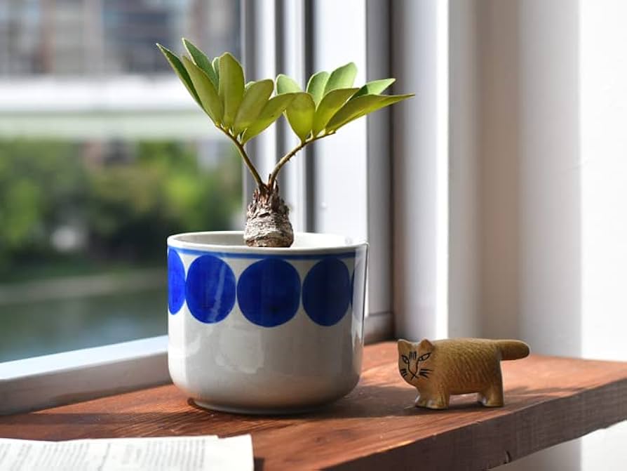 Amazon.co.jp: Lisa Larson（リサ・ラーソン） Flora 植木鉢 波佐見焼