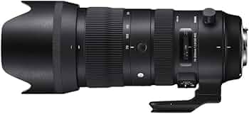 Amazon.co.jp: シグマ(Sigma) レンズ 70-200mm F2.8 DG OS HSM Canon