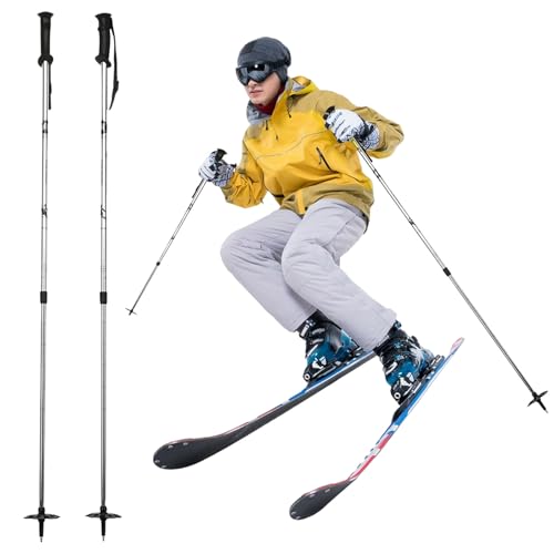 スキー ストック 伸縮式 カーボン」の人気商品一覧 | 安い商品を通販