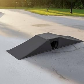 Amazon.co.jp: セクション・レール - スケートボード: スポーツ