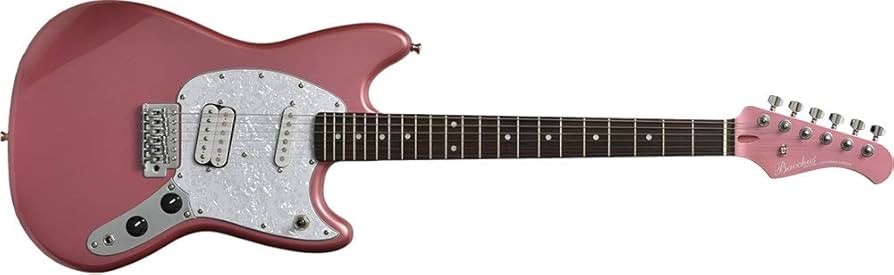 Amazon.co.jp: ワンランク上のエントリー・モデル｜Bacchus BMS-SH/R