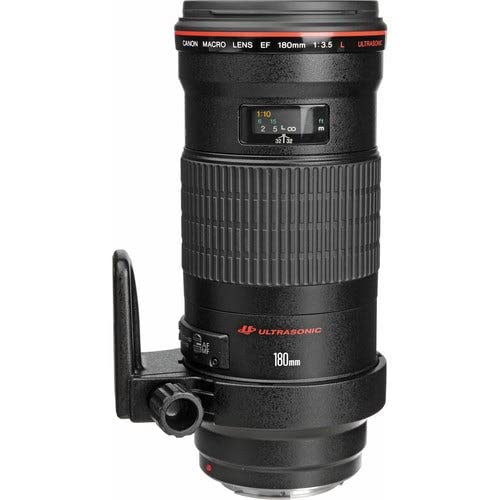 Amazon.co.jp: Canon 単焦点マクロレンズ EF180mm F3.5L マクロ USM