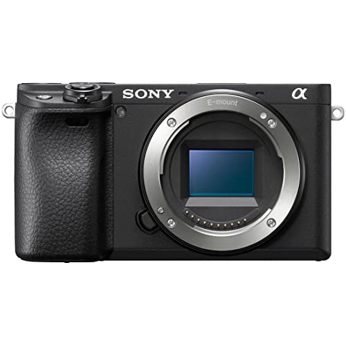 カメラ初心者】私がα6400でよく使う望遠レンズ・SEL55210（SONY製