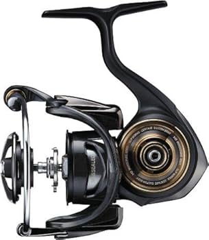 Amazon.co.jp: SLPワークス 19セルテートカスタムボディ