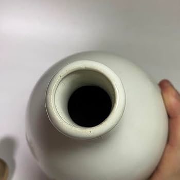 壺□四季有餘 乙卯仲春玉郷 長壷「中華陶瓷」牡丹 魚紋 花尽くし 古玩