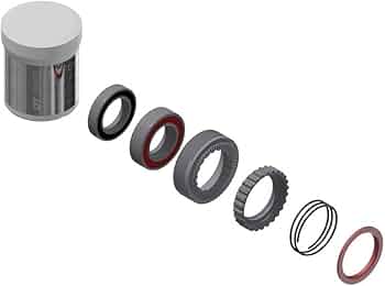 Amazon.com : DT Swiss Hub Cass Body Dt Exp Ratchet Kit 54T Upgrade