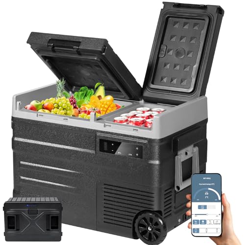 車載冷蔵庫 2室独立温度制御」の人気商品一覧 | 安い商品を通販サイト