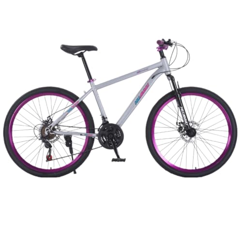 24インチ ロード バイク」の人気商品一覧 | 安い商品を通販サイトから