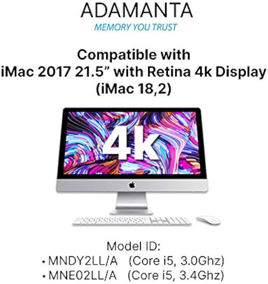 41GB2X35YOL._AC_UF894,