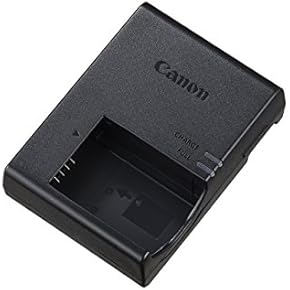 Amazon.co.jp: ビデオカメラ用充電器 - カメラ用アクセサリ: 家電＆カメラ