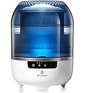 Amazon.com: DH Lifelabs Air Purifier for Home, Ionizer Air