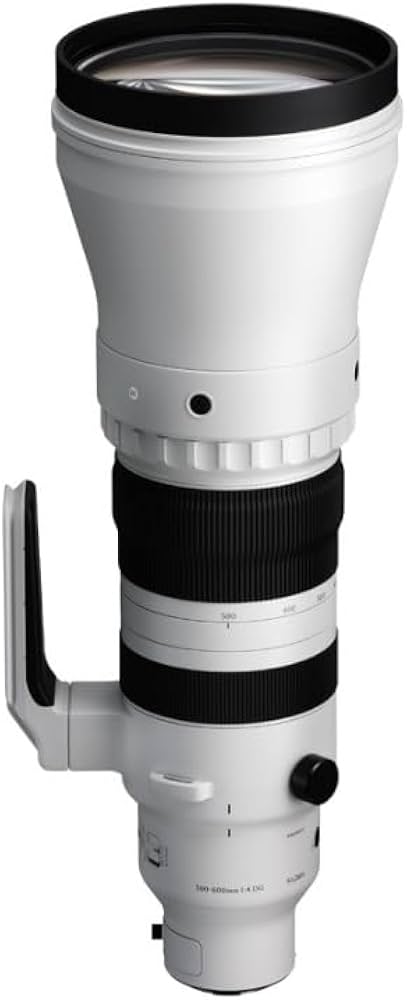 Amazon.com : Sigma 300-600mm F4 DG OS | Sports for L Mount