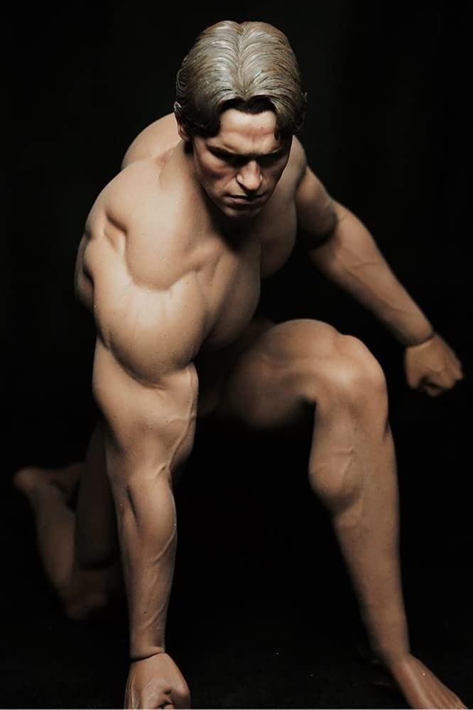 Amazon.co.jp: HiPlay TBLeague 1/6 男性 シームレス フィギュア