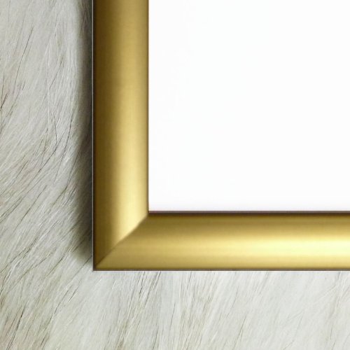 Amazon.co.jp: ポスター フランシス ピカビア La Nuit Espagnole 額装