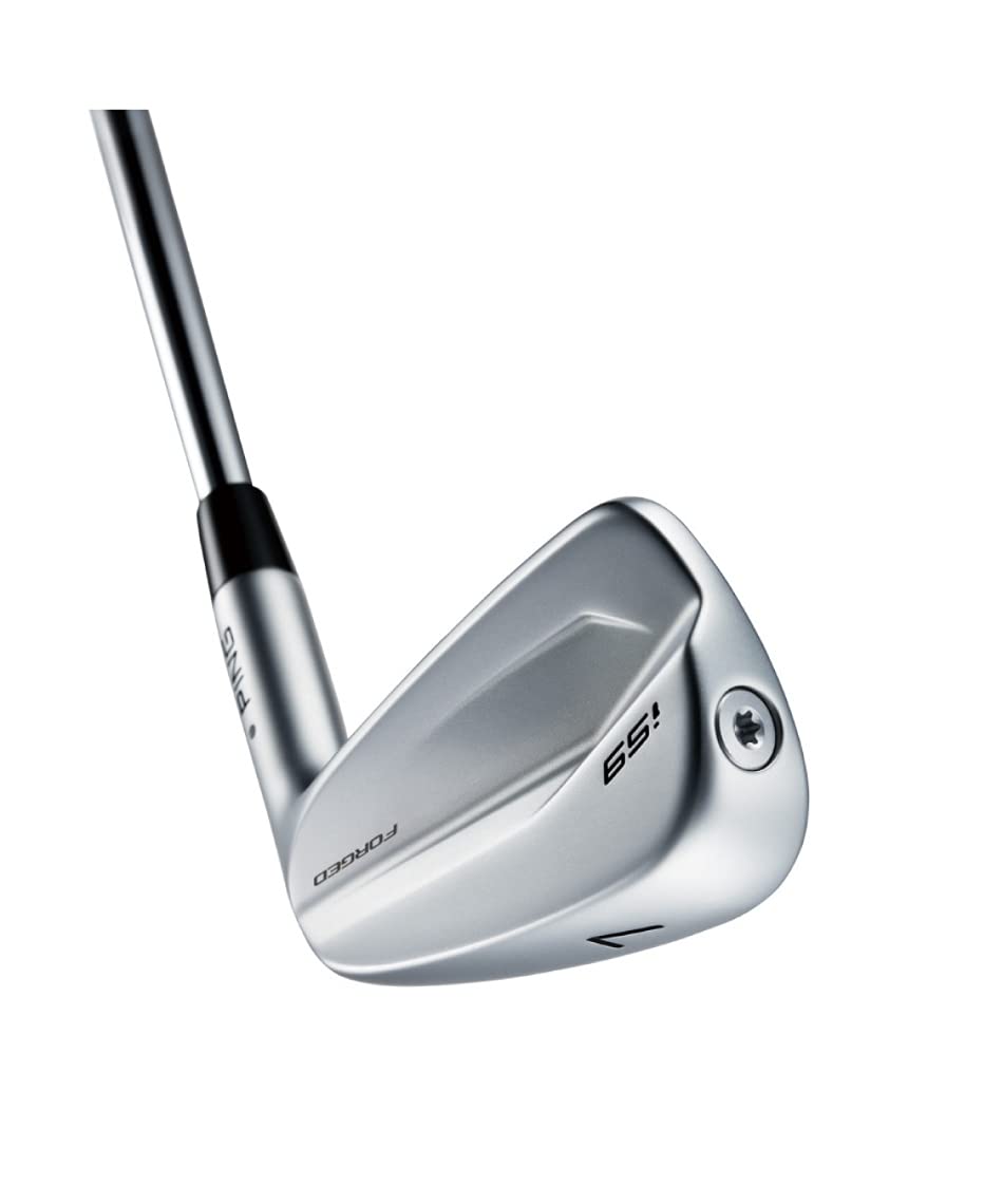 Amazon.co.jp: ピン PING i59 アイアン 6本セット(5I-9I,PW) メンズ 右