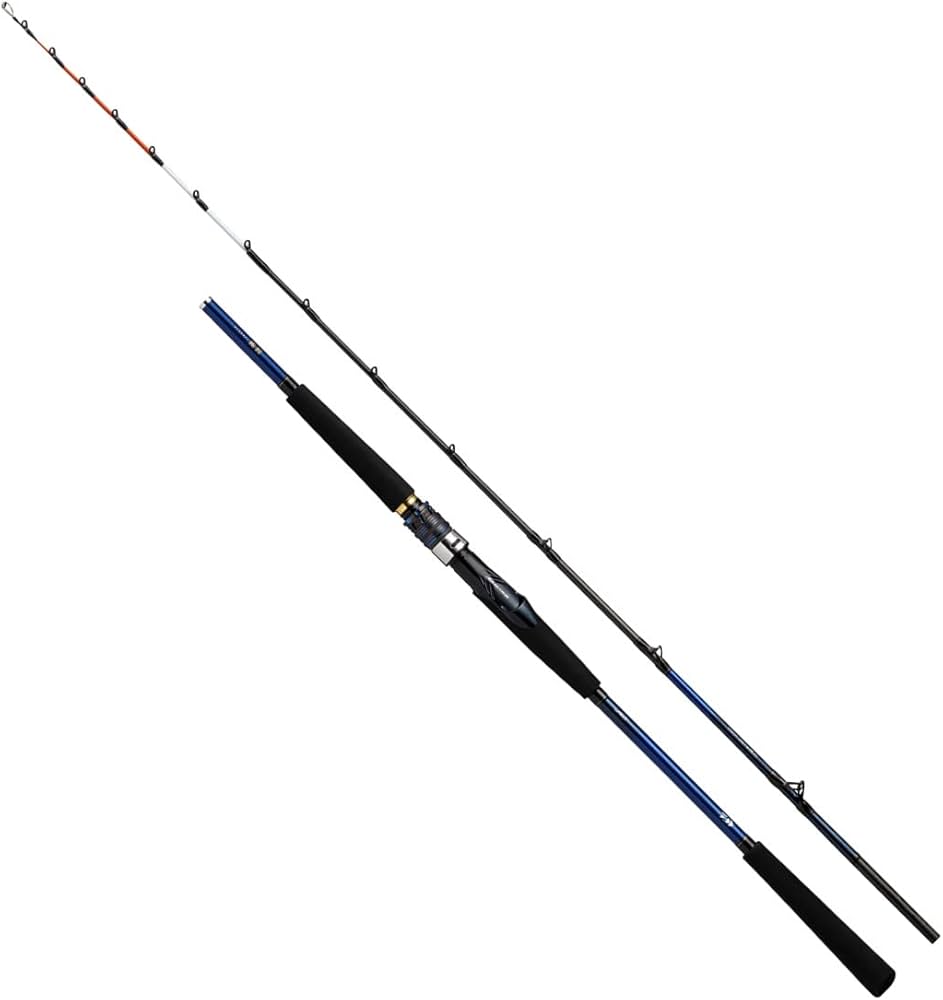 Amazon | ダイワ(DAIWA) 船竿 極鋭CG F H-170AGS ブラック | ダイワ