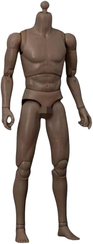 Amazon | HiPlay JIAOUDOLL 1/6 男性 フィギュア ボディ 肩幅狭版 高