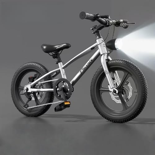 自転車 mtb ディスクブレーキ」の人気商品一覧 | 安い商品を通販サイト