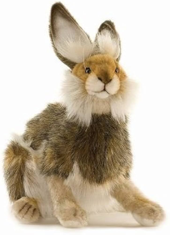 グリーンマックス4076 JRケモヤ145形100番代 Nゲージ 完成品 Amazon