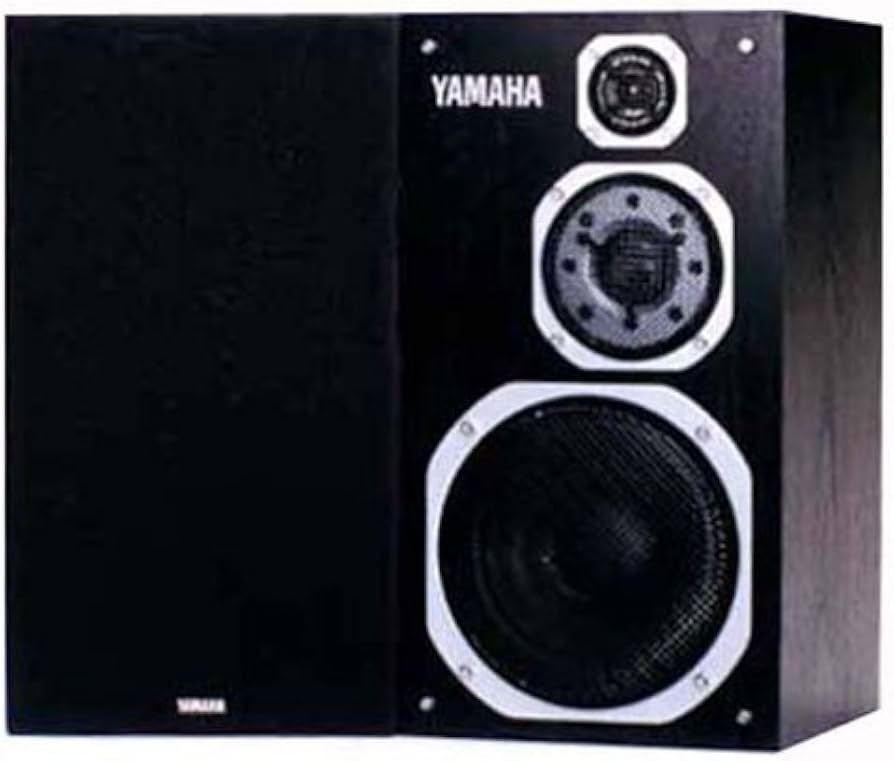 Amazon.co.jp: YAMAHA NS-1000MM(2ホンイリ) メインスピーカ (ブラック