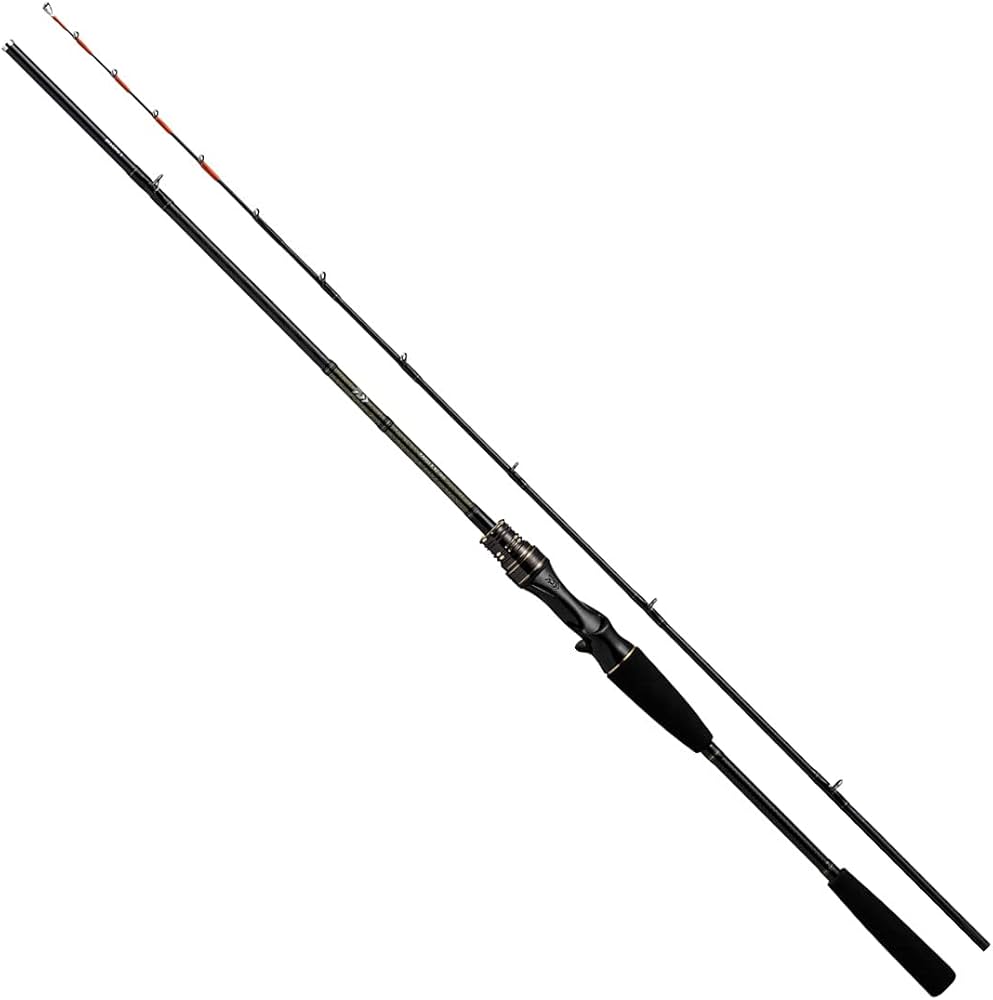 Amazon | ダイワ(DAIWA) 21 カレイ X 82-160 | ダイワ(DAIWA) | 船竿