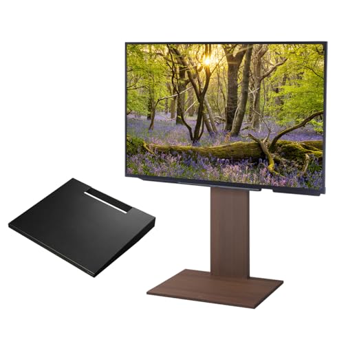 EQUALS イコールズ テレビ台 壁寄せテレビスタンド WALL V2 ロータイプ