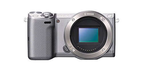 Amazon.com : Sony NEX-5 16MP Mirrorless Digital Camera with Kit