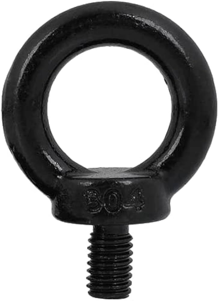 Amazon | BLOOM SPIRITS アイボルト M8 ステンレス 黒 (1