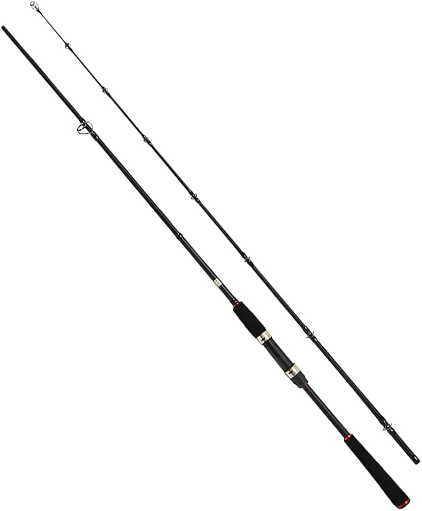 Amazon.co.jp: キャスティングタコに タコエギロッド＆スピニング