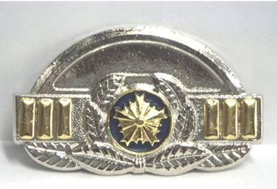 Amazon | 階級章（レプリカ）◇警察グッズ 撮影用 観賞用 演劇用 刑事