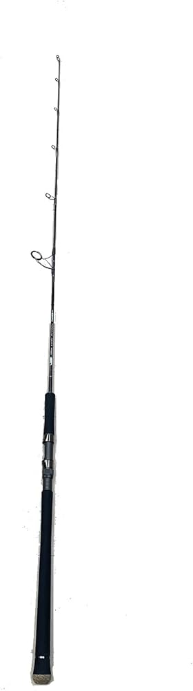 Amazon | ZENAQ FOKEETO FS59-4 Whippy (Kガイド）ゼナック スピニング