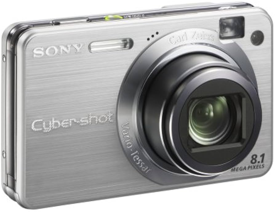 Amazon.com : Sony Cybershot DSCW150 8.1MP Digital Camera with 5x