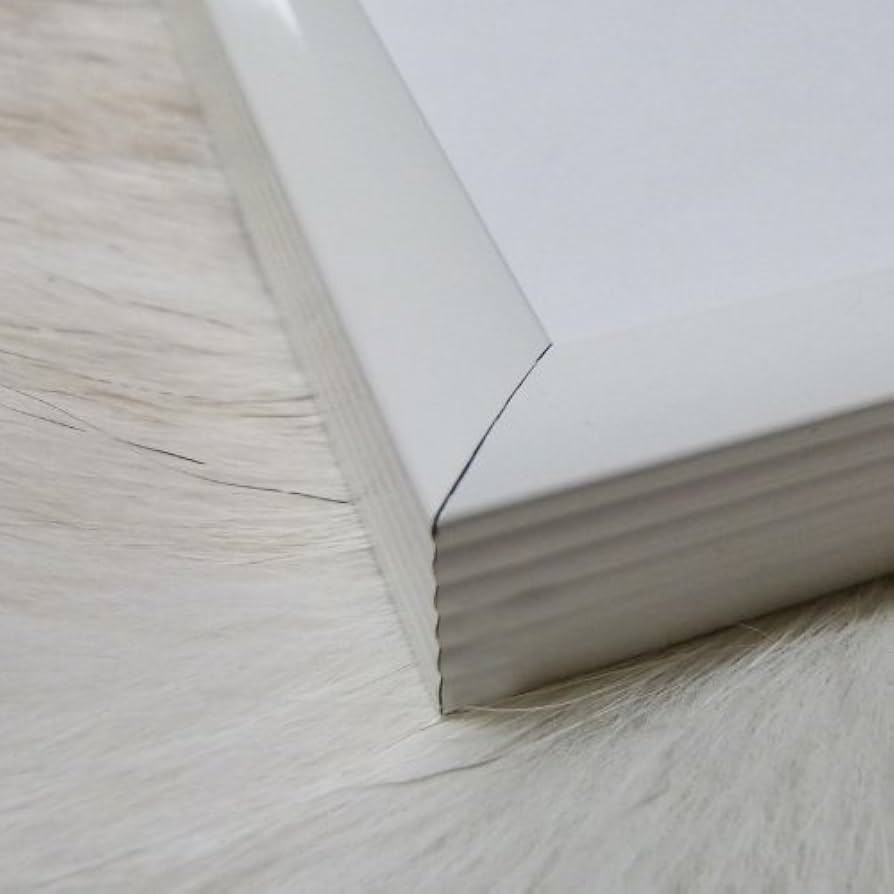 Amazon.co.jp: ポスター バウハウス foto licia 1926年 額装品 アルミ