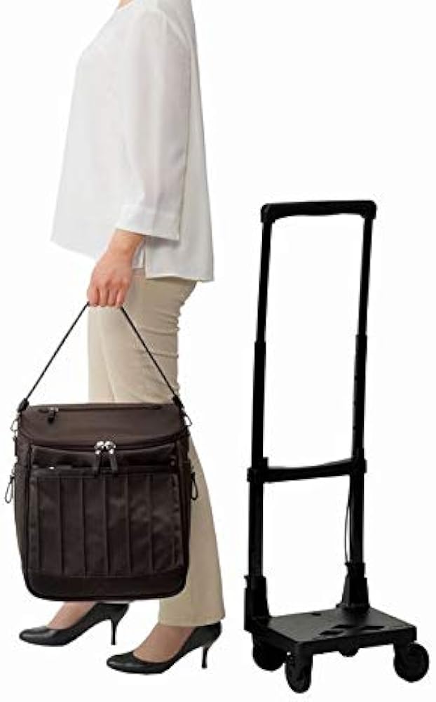 Amazon.co.jp: SWANY スワニーバッグ D-550 リニーエIII (M21