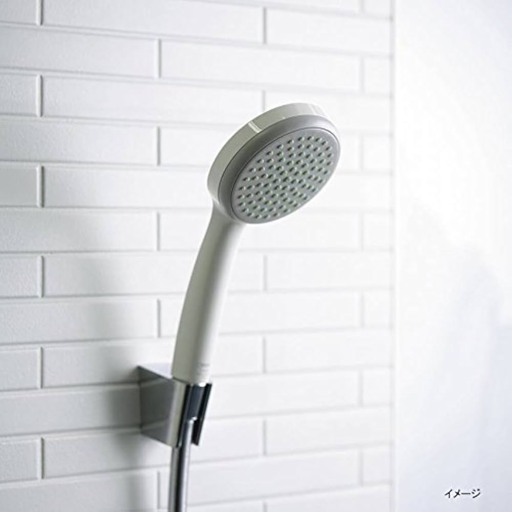 Amazon.co.jp: Hansgrohe(ハンスグローエ) 【シャワーヘッド
