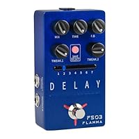 Amazon | FLAMMA FS22ディレイとリバーブギターエフェクトペダルタップ