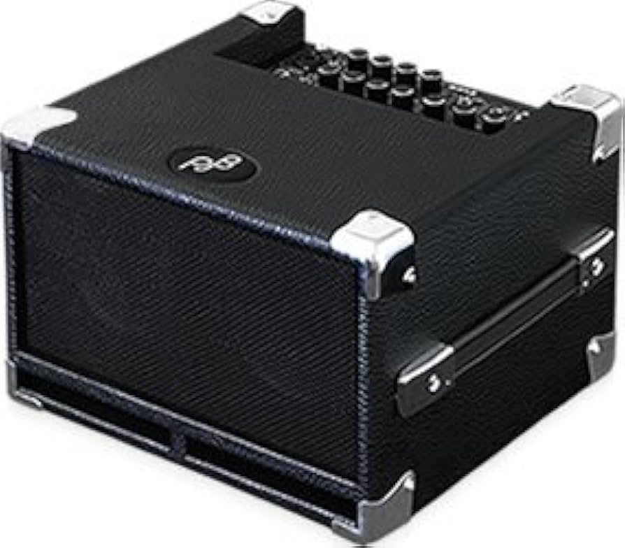 Amazon.co.jp: Phil Jones Bass/Bass Cub (BG-100)【フィルジョーンズ