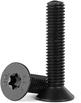 Amazon | 5本入 トルクス サラ小ねじ 黒 M10 皿ボルト フラット