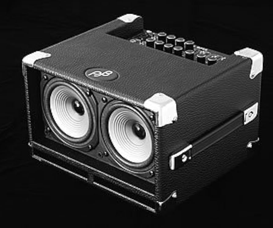 Amazon.co.jp: Phil Jones Bass/Bass Cub (BG-100)【フィルジョーンズ