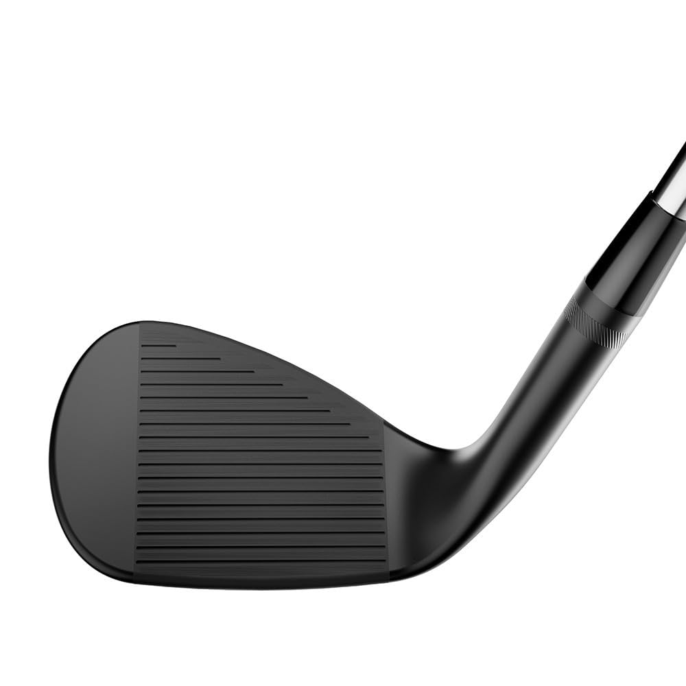 Amazon | タイトリスト(TITLEIST) Wedge Vokey SM10ジェットブラックDG