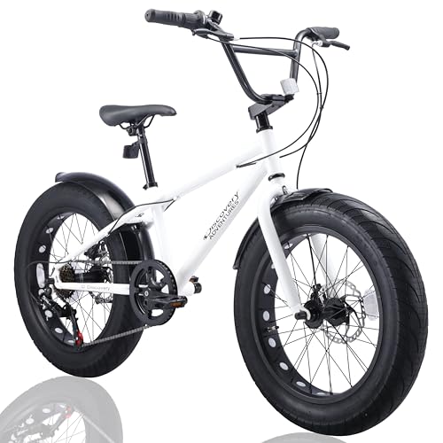 ファットバイク 20 自転車用品」の人気商品一覧 | 安い商品を通販