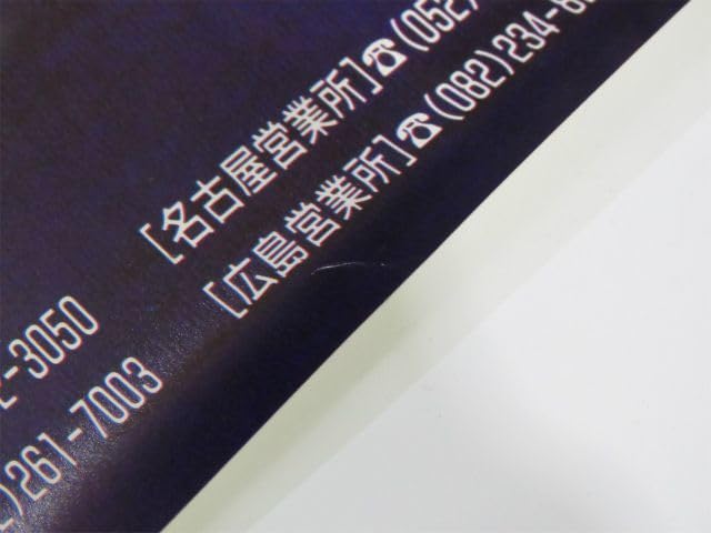 Amazon.co.jp: パワード THE ULTIMATE HERO ビジュアル 生頼範義 円谷