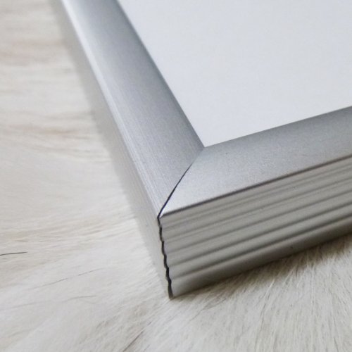 Amazon.co.jp: ポスター リュック シュケ Plante France 1989年 額装品