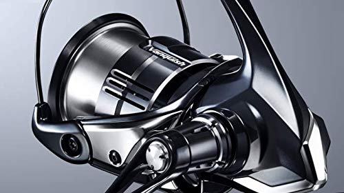 S Shimano Rolle 19 Vanquish 4000MHG Japan Import : Amazon.de