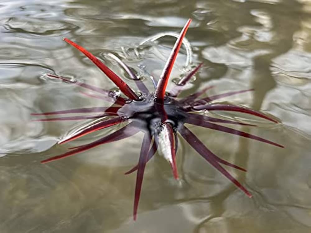 Amazon.co.jp: ハイドアップ(HIDEUP) コイケフルキャスト #113