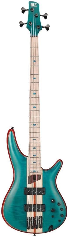 Amazon.com: Ibanez SR Premium 4-string Electric Bass Guitar