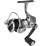 Amazon | AbuGarcia (アブガルシア) CARDINAL III STX 2500SH