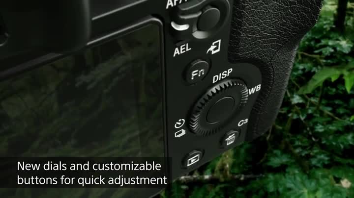 Amazon | ソニー SONY ミラーレス一眼 α7 ズームレンズキット FE 28