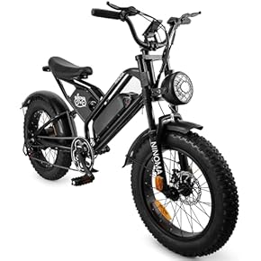 Amazon.co.jp: 電動自転車 - 自転車本体: スポーツ＆アウトドア