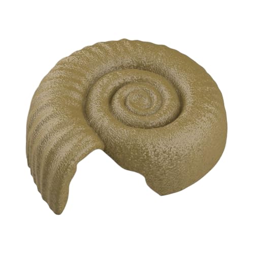 アンモナイト」の人気商品一覧 | 安い商品を通販サイトから探す - 価格.com